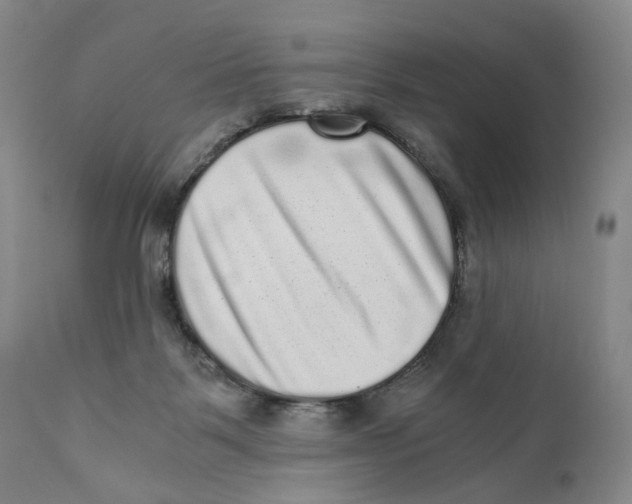 X0000110870123200907161447