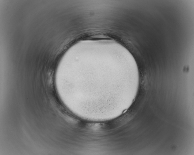 X0000110870131200907161447