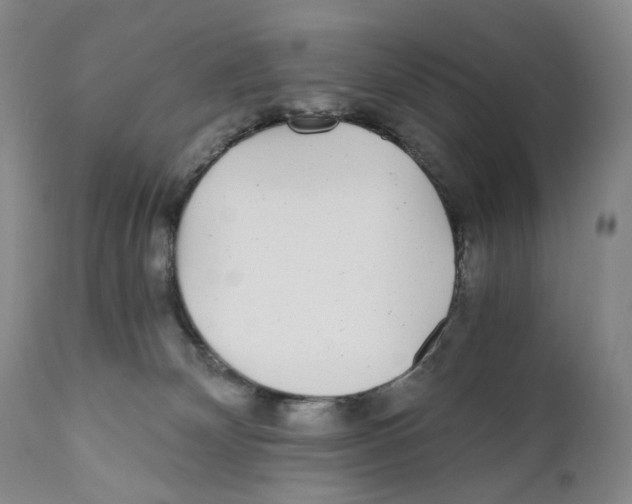 X0000110870132200907161447