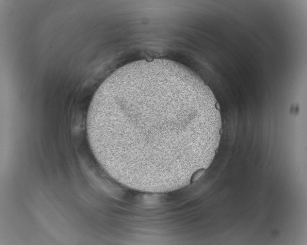 X0000110870134200907161447