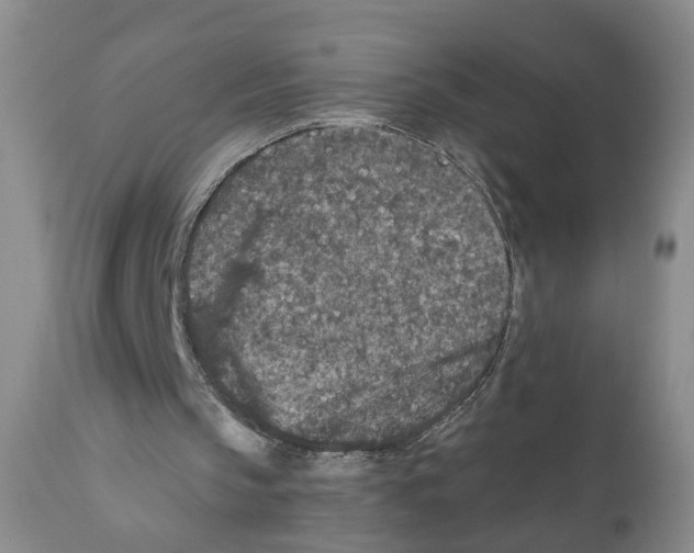 X0000110870145200907161446