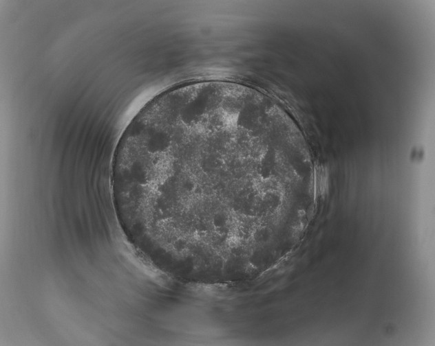 X0000110870147200907161446