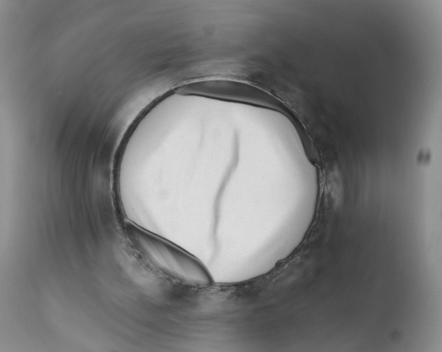 X0000110870148200907161446