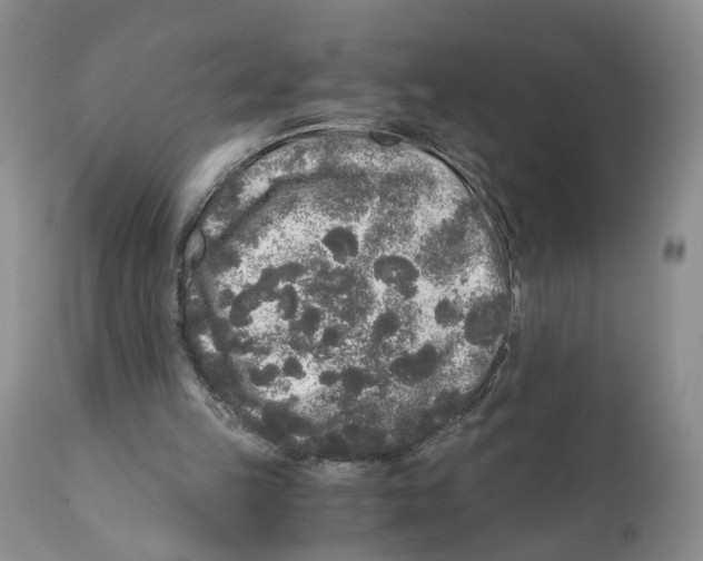 X0000110870149200907161446