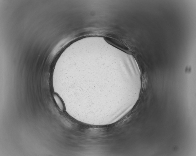 X0000110870150200907161446