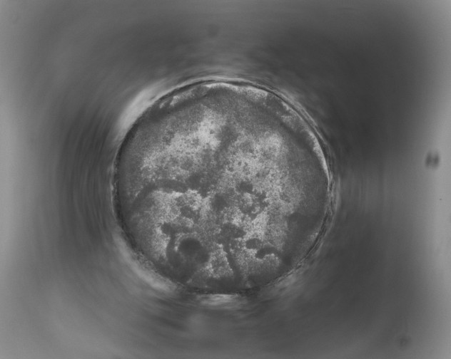 X0000110870151200907161446