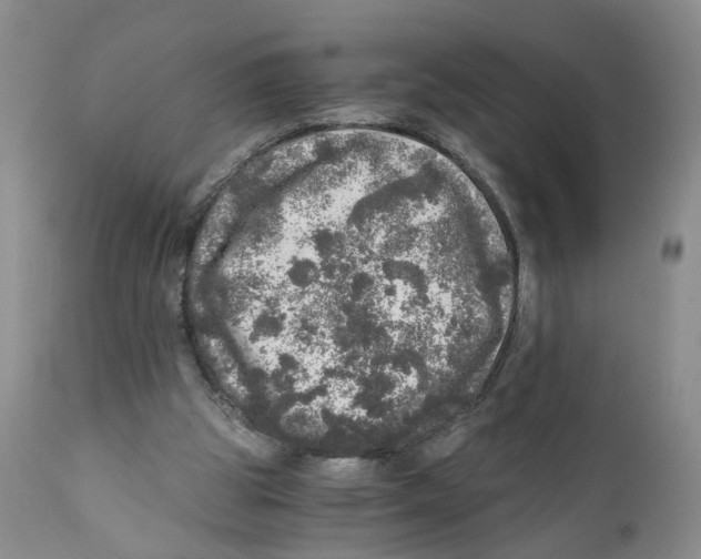 X0000110870153200907161446