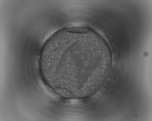 X0000110870154200907161446