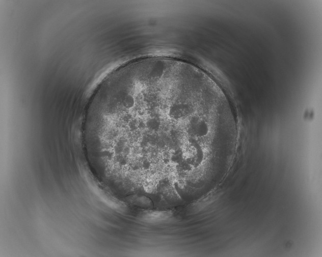 X0000110870155200907161446