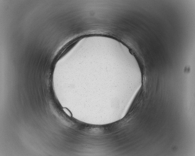 X0000110870156200907161446