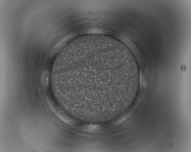 X0000110870157200907161446