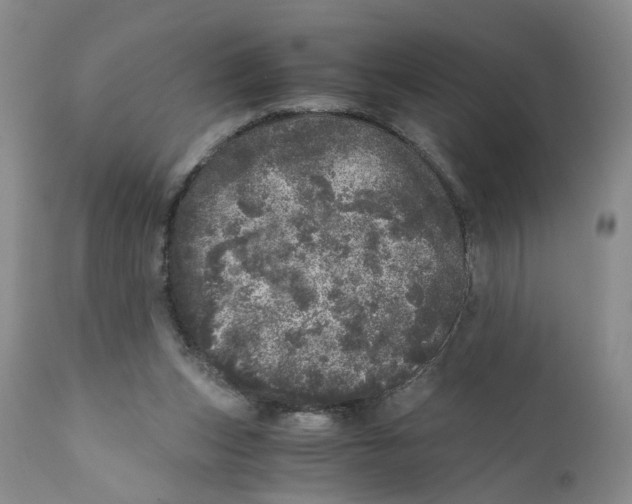 X0000110870159200907161446