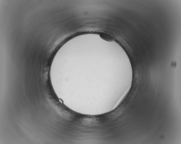 X0000110870160200907161446