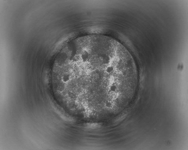 X0000110870161200907161446