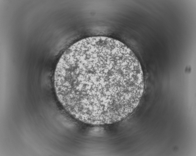 X0000110870162200907161446