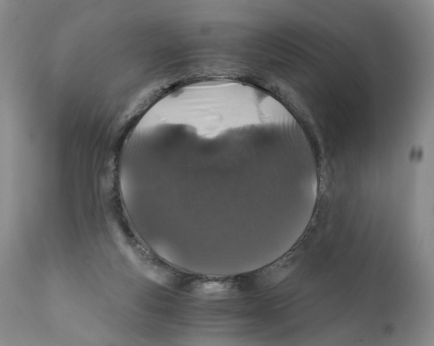 X0000110870163200907161446