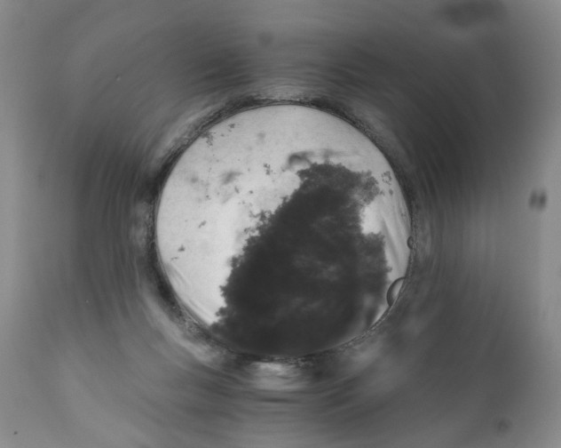 X0000110870167200907161446