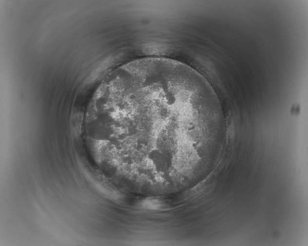 X0000110870171200907161446