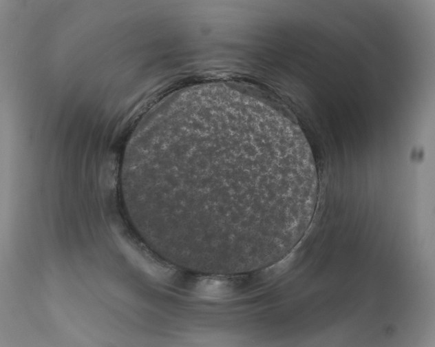 X0000110870174200907161447