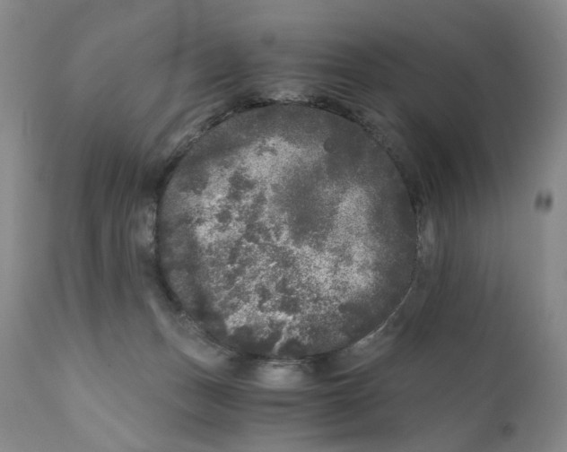 X0000110870175200907161447