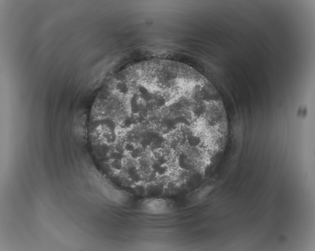 X0000110870181200907161447