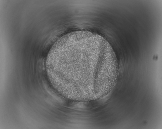 X0000110870182200907161447