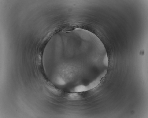 X0000110870183200907161447