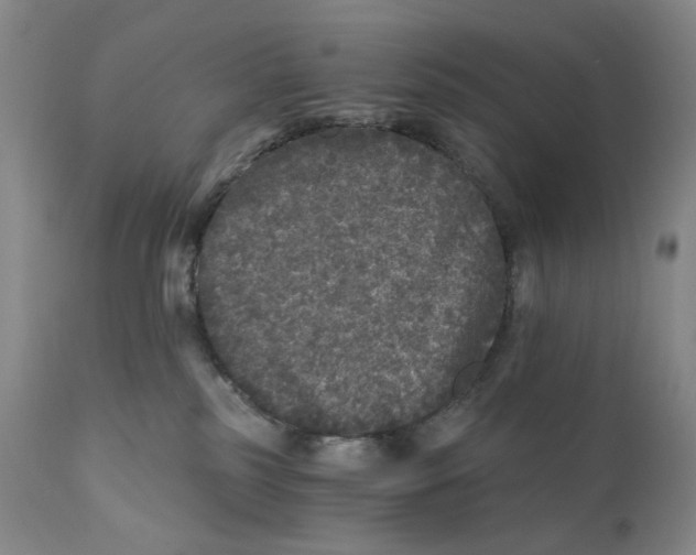 X0000110870185200907161447