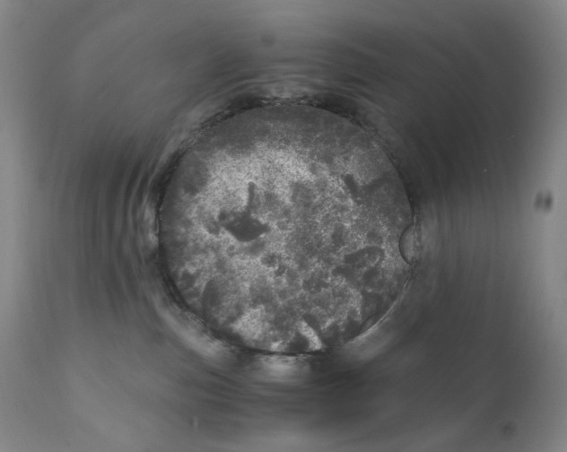 X0000110870187200907161447