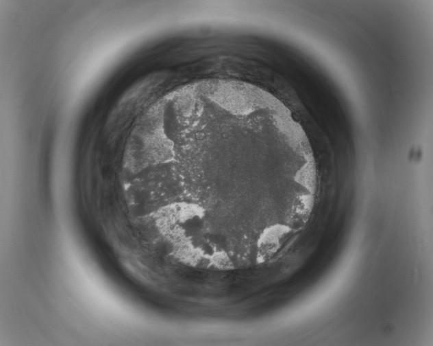 X0000110870191200907161447