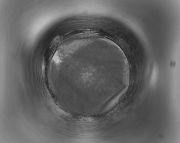 X0000110870195200907161446