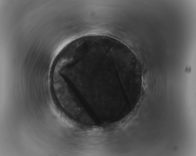 X0000110870196200907161446