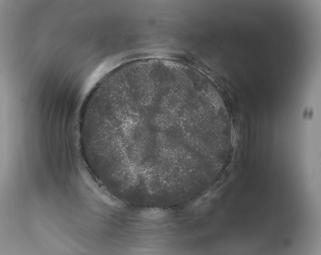 X0000110870198200907161446