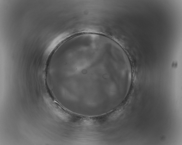 X0000110870199200907161446