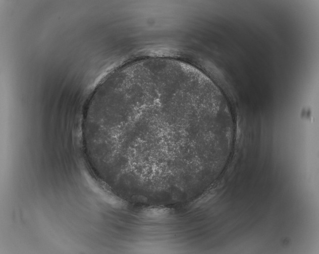 X0000110870202200907161446