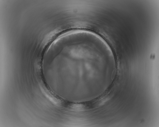 X0000110870203200907161446