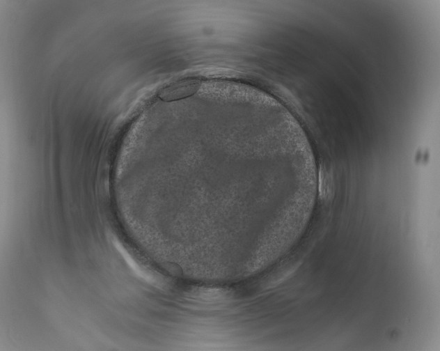 X0000110870205200907161446