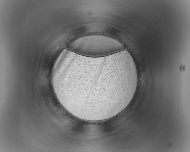 X0000110870209200907161446