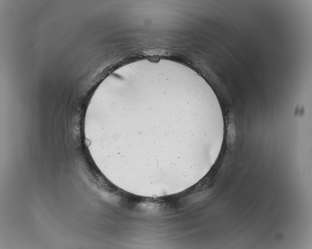 X0000110870211200907161446