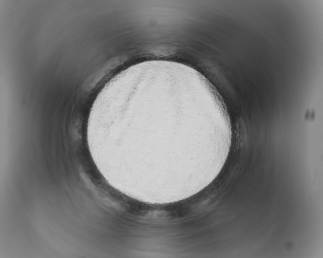 X0000110870212200907161446