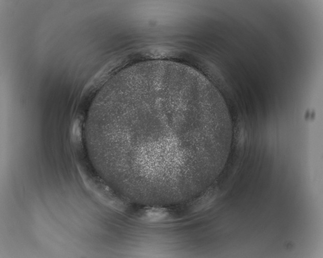 X0000110870214200907161446