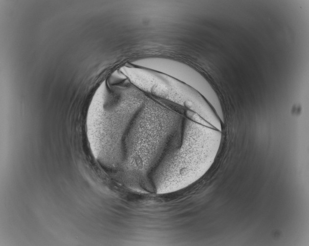 X0000110870215200907161446