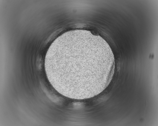 X0000110870216200907161446