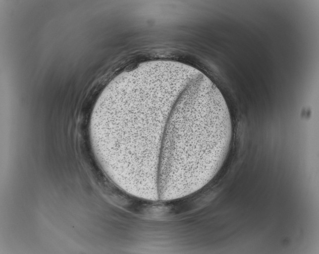 X0000110870217200907161446