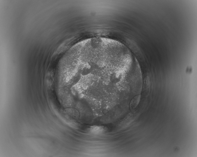 X0000110870218200907161446