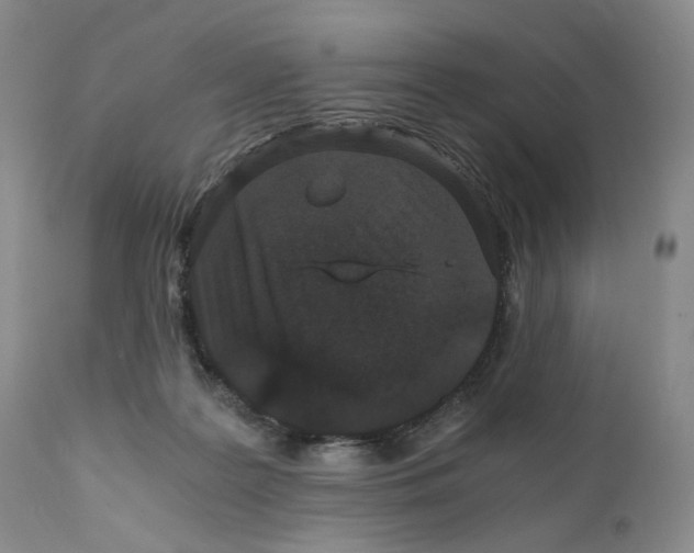 X0000110870219200907161446