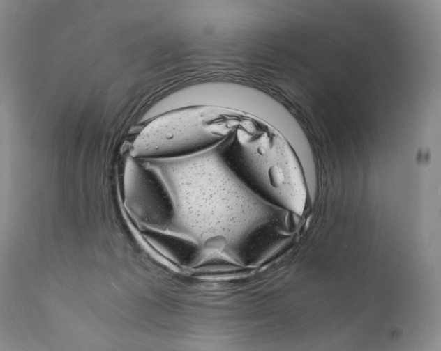 X0000110870221200907161446