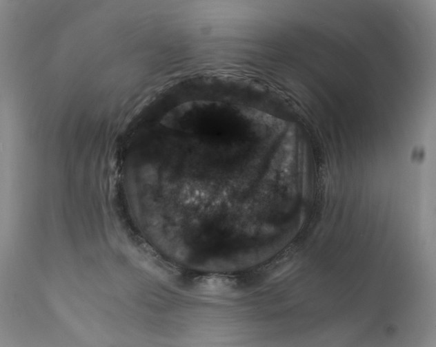 X0000110870223200907161446