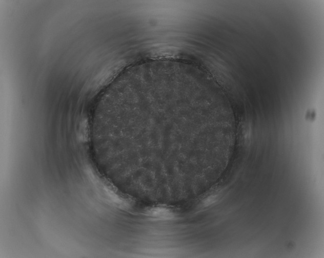 X0000110870224200907161446