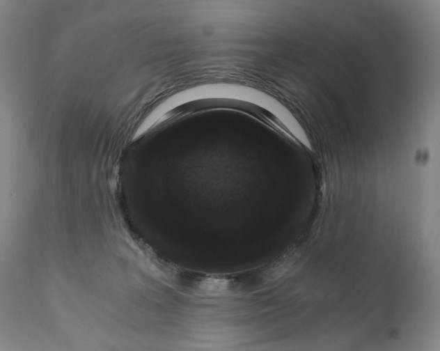 X0000110870227200907161445